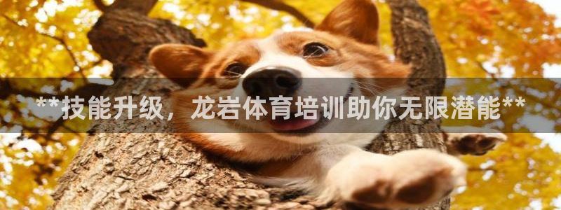 富联平台官网登录入口：**技能升级，龙岩体育培训助你
