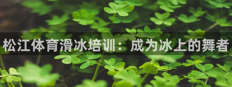 富联娱乐会员有什么用：松江体育滑冰培训：成为冰上的舞