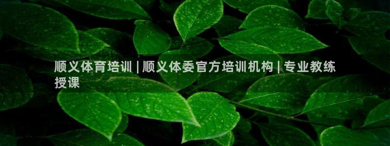 富联娱乐股东名单：顺义体育培训 | 顺义体委官方培训