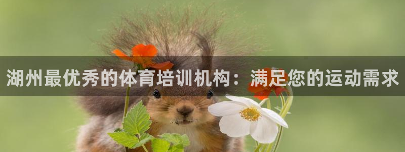 富联官方网站入口下载安卓：湖州最优秀的体育培训机构：
