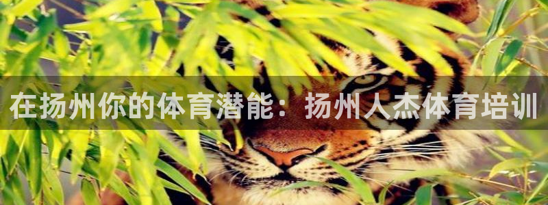 富联娱乐是骗局吗知乎：在扬州你的体育潜能：扬州人杰体