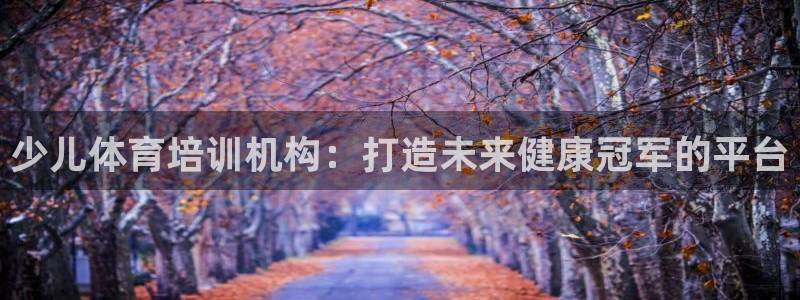 富联平台主管代理：少儿体育培训机构：打造未来健康冠军