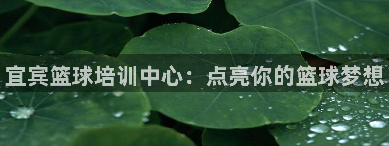 富联娱乐测速地址：宜宾篮球培训中心：点亮你的篮球梦想