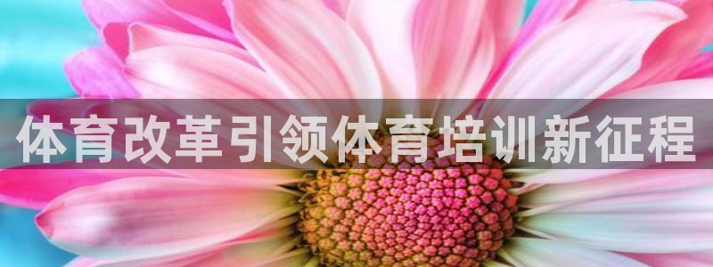 富联娱乐平台开户流程图：体育改革引领体育培训新征程
