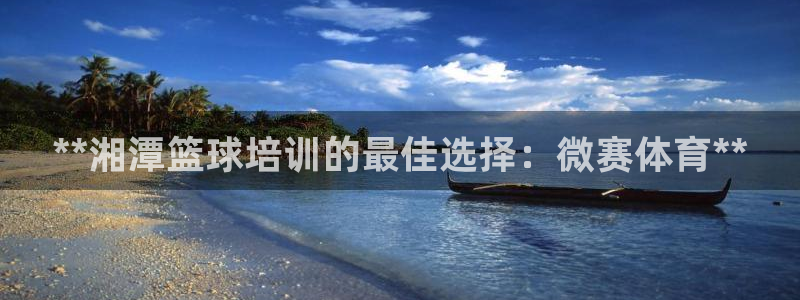富联平台是什么平台：**湘潭篮球培训的最佳选择：微赛