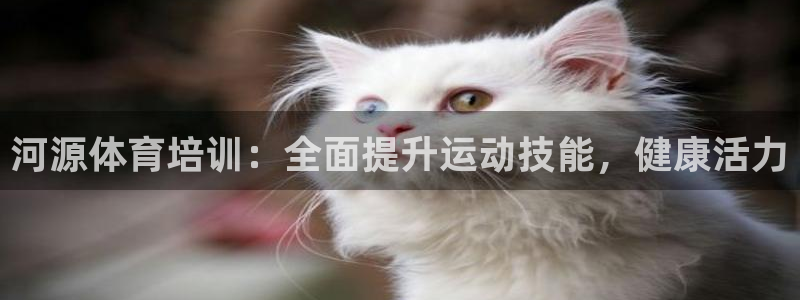 富联娱乐是真的吗：河源体育培训：全面提升运动技能，健