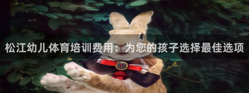 富联娱乐服务站怎么样：松江幼儿体育培训费用：为您的孩
