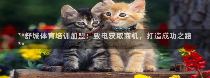 富联娱乐下载：**舒城体育培训加盟：致电获取商机，打