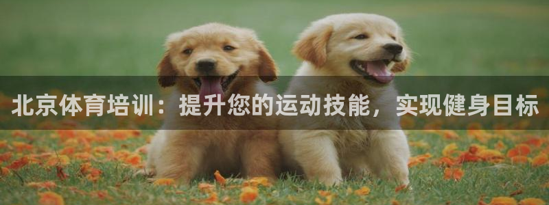 富联平台联 5O6917 富联：北京体育培训：提升您