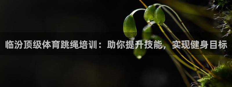 富联文体：临汾顶级体育跳绳培训：助你提升技能，实现健