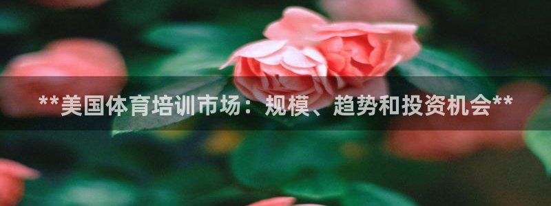 富联平台城7O777：**美国体育培训市场：规模、趋