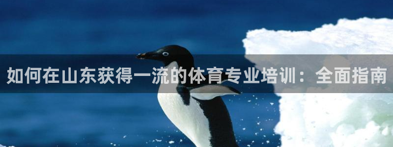 富联娱乐客户端app下载服务：如何在山东获得一流的体
