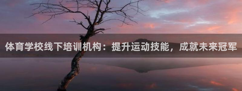 富联地产怎么样：体育学校线下培训机构：提升运动技能，