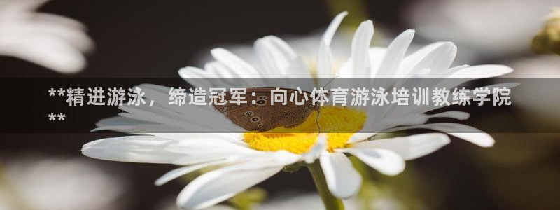 富联网是什么意思：**精进游泳，缔造冠军：向心体育游