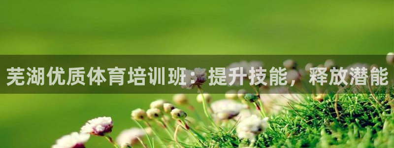富联地产怎么样知乎：芜湖优质体育培训班：提升技能，释