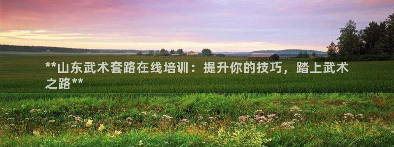 富联平台上级下级是什么意思：**山东武术套路在线培训