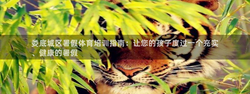 富联娱乐官方网站入口网址