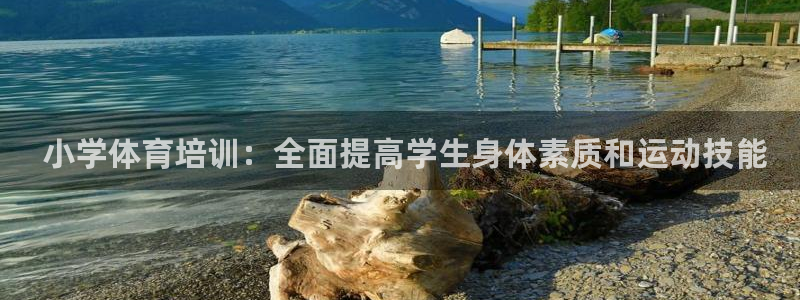 富联娱乐平台开户流程视频： 小学体育培训：全面提高学