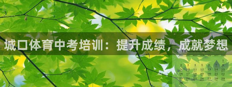 富联地产怎么样：城口体育中考培训：提升成绩，成就梦想