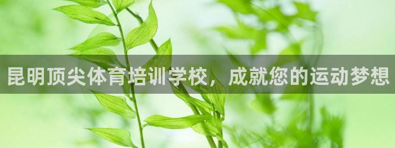 富联官方网站：昆明顶尖体育培训学校，成就您的运动梦想