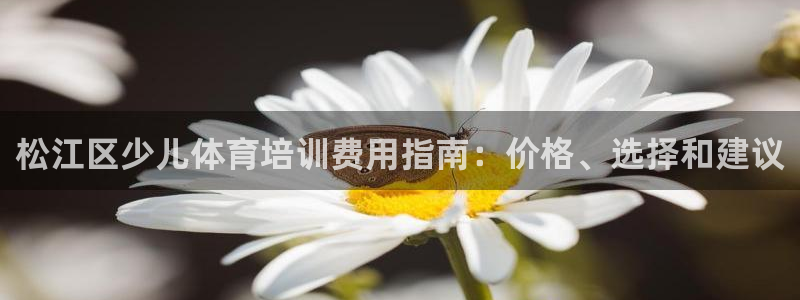 富联食品加工厂：松江区少儿体育培训费用指南：价格、选