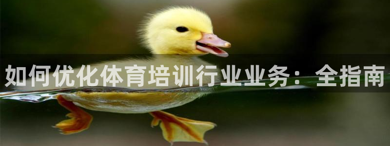 富联娱乐平台怎么样啊：如何优化体育培训行业业务：全指