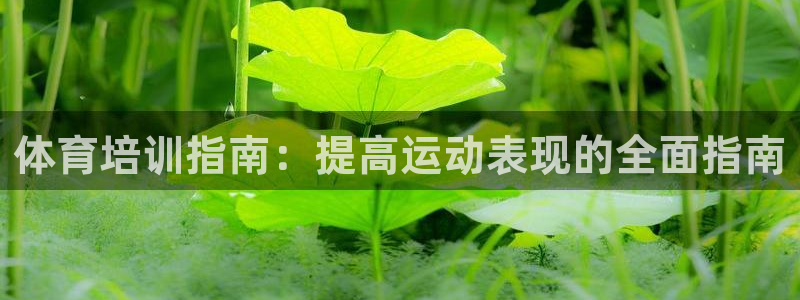 富联官方网站首页入口下载：体育培训指南：提高运动表现