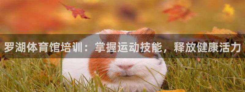 富联小区：罗湖体育馆培训：掌握运动技能，释放健康活力