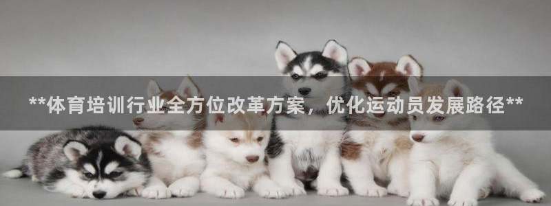 富联平台先 37oo735：**体育培训行业全方位改