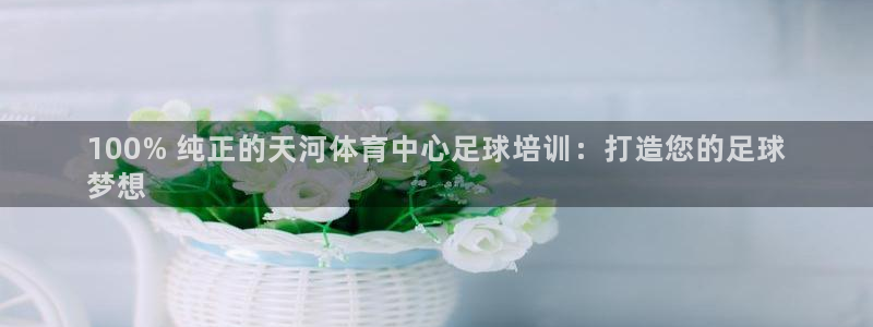 富联是什么股票板块：100% 纯正的天河体育中心足球