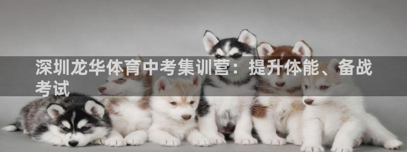 富联官方网站：深圳龙华体育中考集训营：提升体能、备战