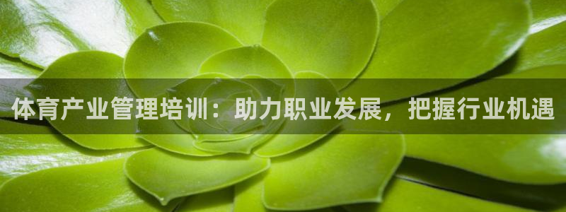 富联商城：体育产业管理培训：助力职业发展，把握行业机