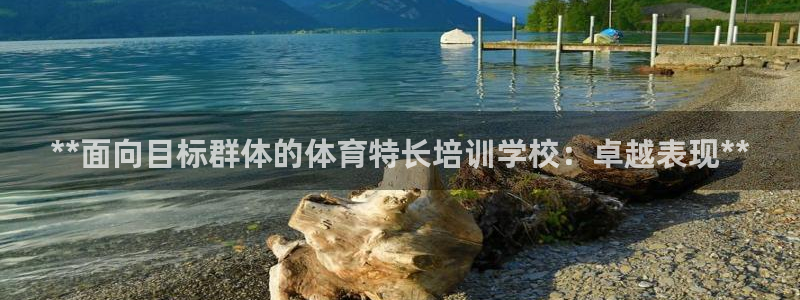 富联平台代理注册条件：**面向目标群体的体育特长培训