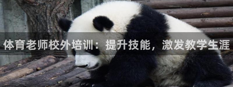 富联娱乐登录注册：体育老师校外培训：提升技能，激发教