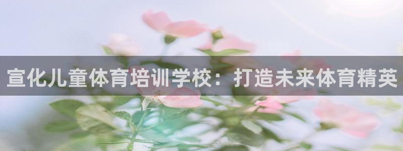 富联平台选 58534I 富联：宣化儿童体育培训学校