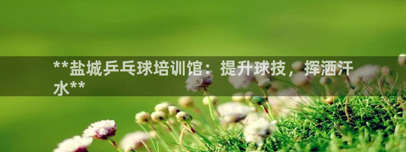 富联娱乐凡六七五一38：**盐城乒乓球培训馆：提升球技，挥洒