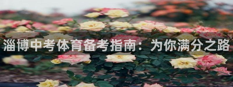 富联官网注册流程图：淄博中考体育备考指南：为你满分之
