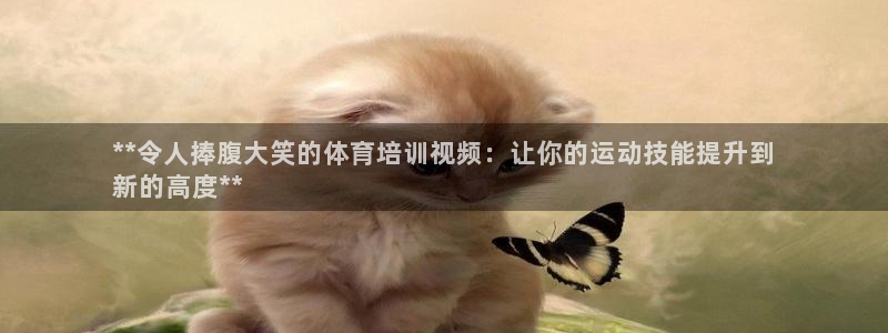 富联平台主管代理：**令人捧腹大笑的体育培训视频：让