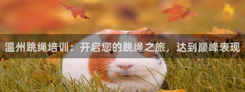 富联官方网站入口网址是什么：温州跳绳培训：开启您的跳