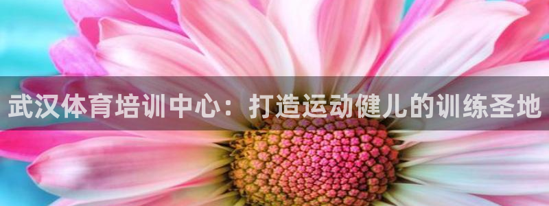 富联娱乐平台开户流程：武汉体育培训中心：打造运动健儿