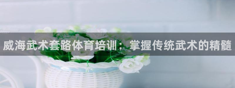 富联娱乐登录注册入口官网网址是多少：威海武术套路体育