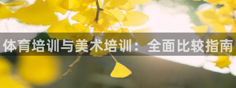 富联娱乐客户端app下载服务：体育培训与美术培训：全