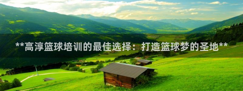 富联平台网站是什么：**高淳篮球培训的最佳选择：打造
