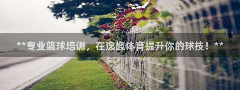 富联官方网站入口网址：**专业篮球培训，在逸趣体育提