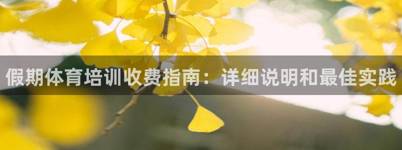 富联官方网站首页入口：假期体育培训收费指南：详细说明和最佳实