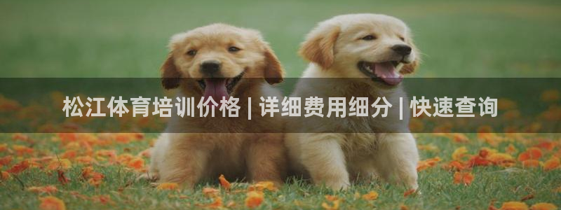 富联股份股票怎么样：松江体育培训价格 | 详细费用细