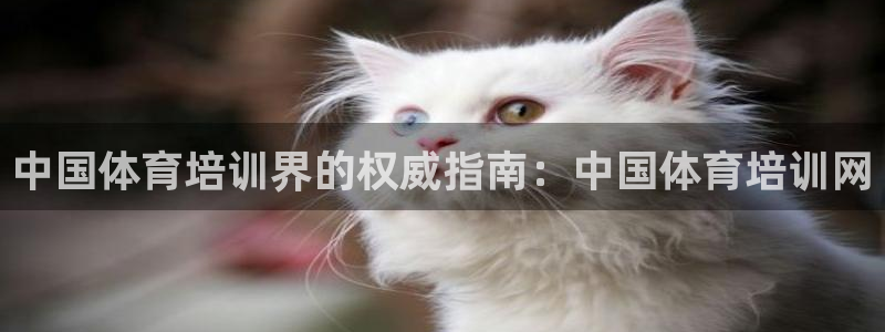 富联娱乐玩法机制：中国体育培训界的权威指南：中国体育培训网