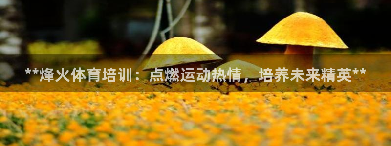 富联申购什么时候上市交易：**烽火体育培训：点燃运动热情，培