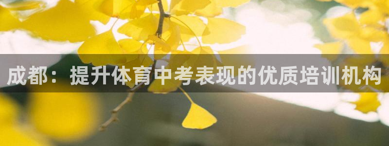 富联申购上市价格预测最新：成都：提升体育中考表现的优质培训机