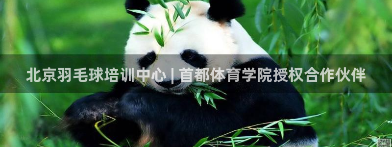 富联平台代理注册条件：北京羽毛球培训中心 | 首都体